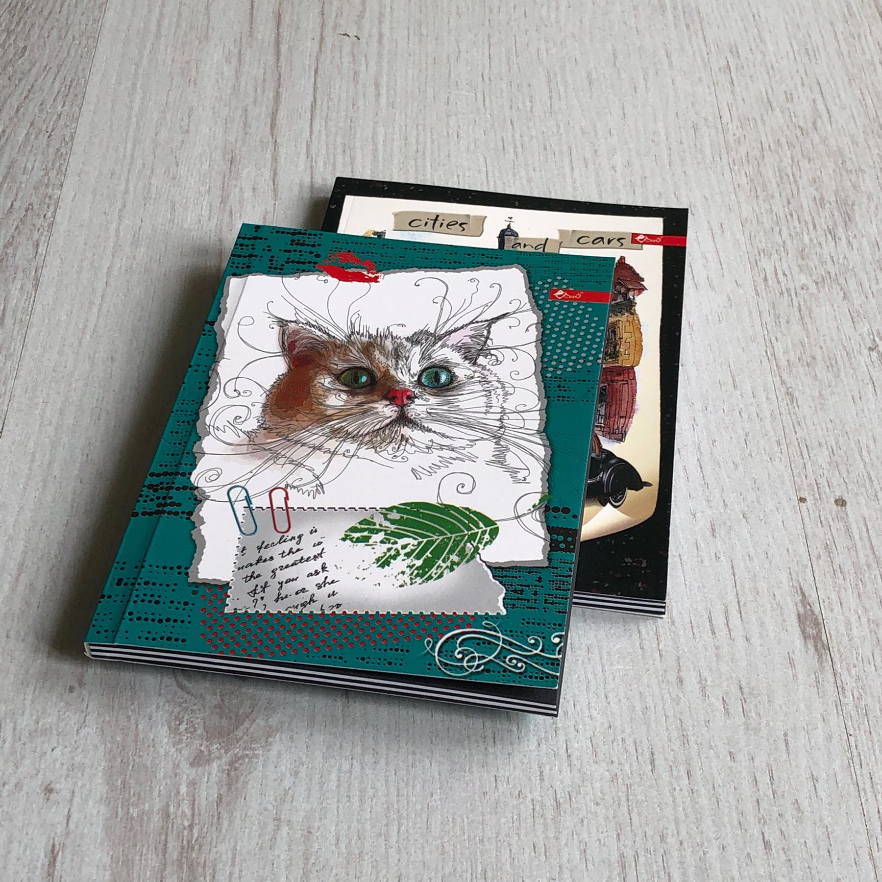 Блокнот для замальовок А6, 50 арк.