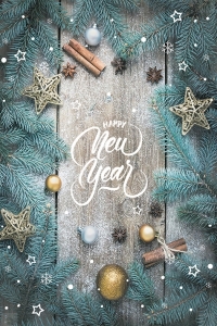 Новий Рік Пакет Гігант Вертикальний