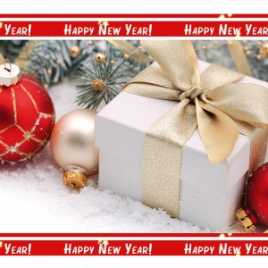 Пакет Новий Рік Гігант 