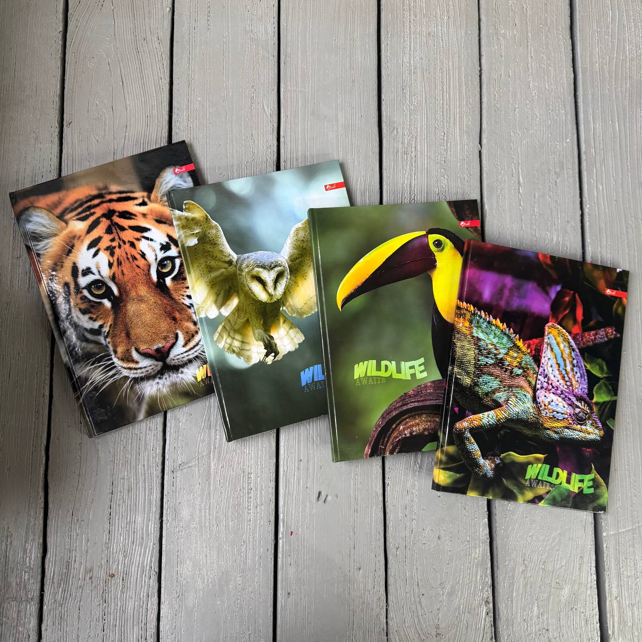 Зошит А4, 80 арк. ТП-9